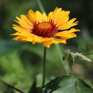 Meet your Posher, Debra